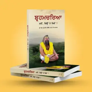 Brahmacharya : Punjabi