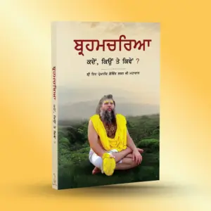 Brahmacharya : Punjabi - Image 2