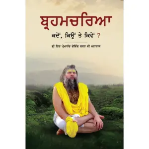 Brahmacharya : Punjabi - Image 8