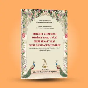 Shri Hit Chaurasi : English - Image 10