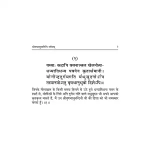 Shri Radha Sudha Nidhi : Hindi - Image 5
